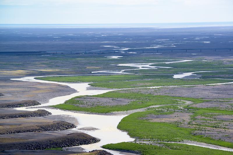  20160707-PB8_0438.JPG </br ><small> 2016-07-07 15:33</br >NIKON D800 + TAMRON SP AF 150-600mm F5-6.3 VC USD A011N<br /> 280mm 1/640s f/8 ISO 220</small>