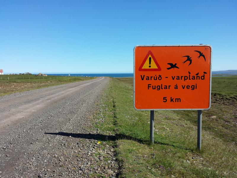  IMG_20160705_105015.JPG </br ><small> 2016-07-05 10:50</br >GT-I9505 4.2mm 1/1250s f/2.2 ISO 50</small>