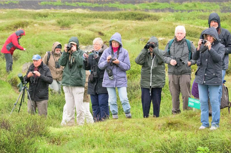  20160701-PB8_8553.JPG </br ><small> 2016-07-01 11:53</br >NIKON D800 + TAMRON SP AF 150-600mm F5-6.3 VC USD A011N<br /> 150mm 1/640s f/8 ISO 5600</small>