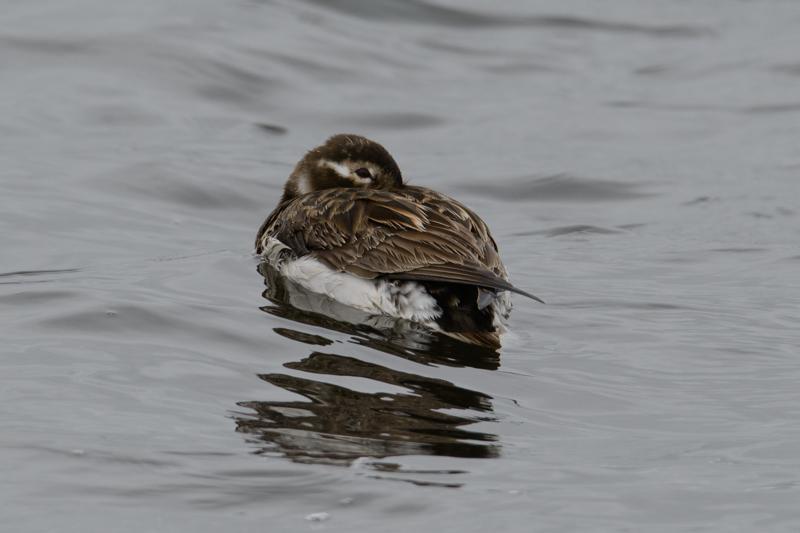  20160702-PB8_8925.jpg </br ><small></small>