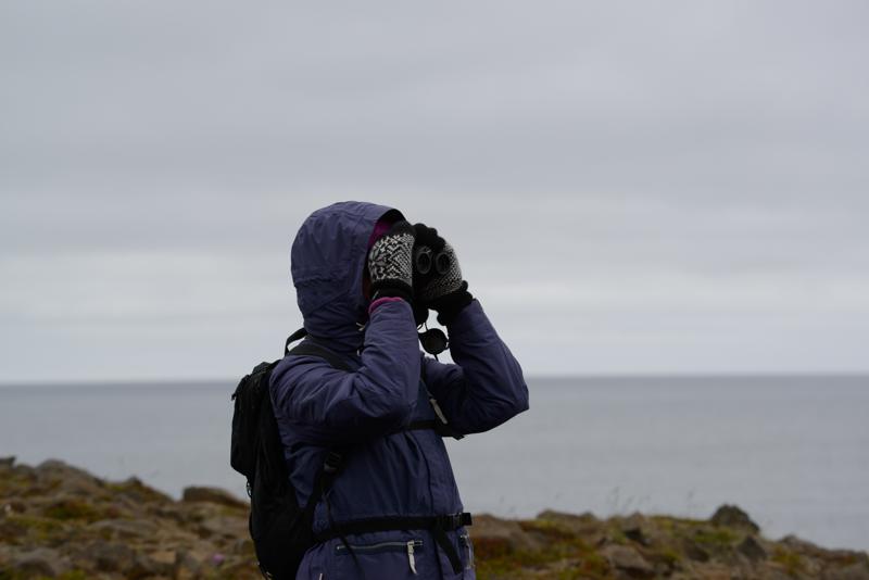  20160704-PB8_9487.JPG </br ><small> 2016-07-04 14:10</br >NIKON D800 + TAMRON SP AF 150-600mm F5-6.3 VC USD A011N<br /> 150mm 1/500s f/8 ISO 560</small>