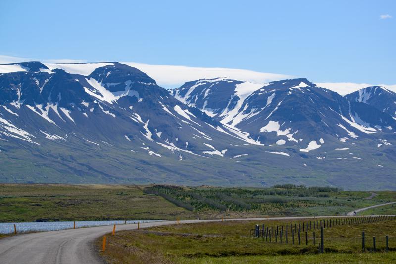  20160705-PB8_9781.JPG </br ><small> 2016-07-05 13:24</br >NIKON D800 + TAMRON SP AF 150-600mm F5-6.3 VC USD A011N<br /> 150mm 1/640s f/8 ISO 140</small>