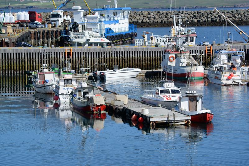  20160706-PB8_9862.JPG </br ><small> 2016-07-06 10:59</br >NIKON D800 + TAMRON SP AF 150-600mm F5-6.3 VC USD A011N<br /> 150mm 1/640s f/8 ISO 180</small>