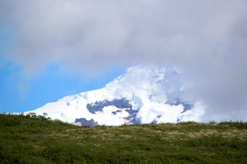  20160707-PB8_0447.JPG </br ><small> 2016-07-07 15:44</br >NIKON D800 + TAMRON SP AF 150-600mm F5-6.3 VC USD A011N<br /> 450mm 1/640s f/8 ISO 100</small>