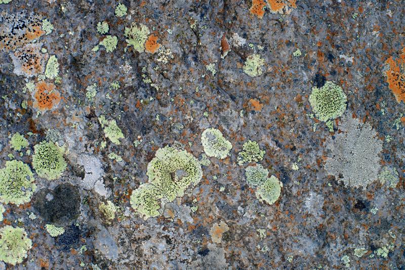  20160708-PB8_0504.JPG </br ><small> 2016-07-08 10:57</br >NIKON D800 + 50.0 mm f/1.4<br /> 50mm 1/160s f/8 ISO 110</small>