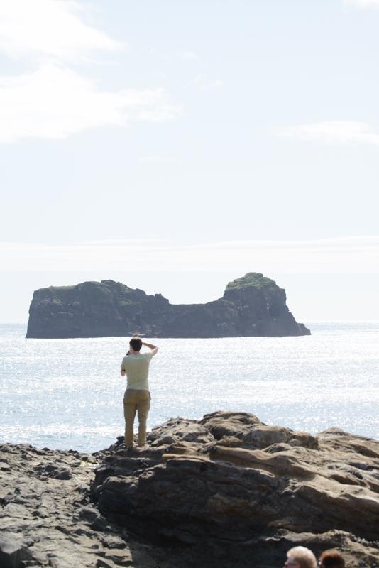  20160708-PB8_0630.JPG </br ><small> 2016-07-08 16:05</br >NIKON D800 + TAMRON SP AF 150-600mm F5-6.3 VC USD A011N<br /> 150mm 1/640s f/8 ISO 320</small>