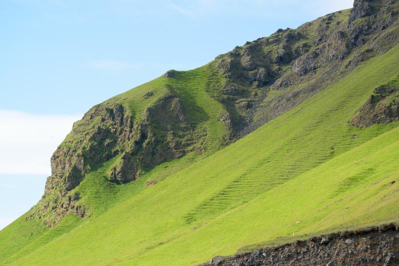  20160708-PB8_0680.JPG </br ><small> 2016-07-08 18:12</br >NIKON D800 + TAMRON SP AF 150-600mm F5-6.3 VC USD A011N<br /> 150mm 1/640s f/8 ISO 400</small>