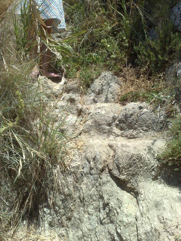  04072008361.jpg </br ><small> 2008-07-04 13:19</br >N95 5.6mm 1/250s f/2.8 ISO 100</small>