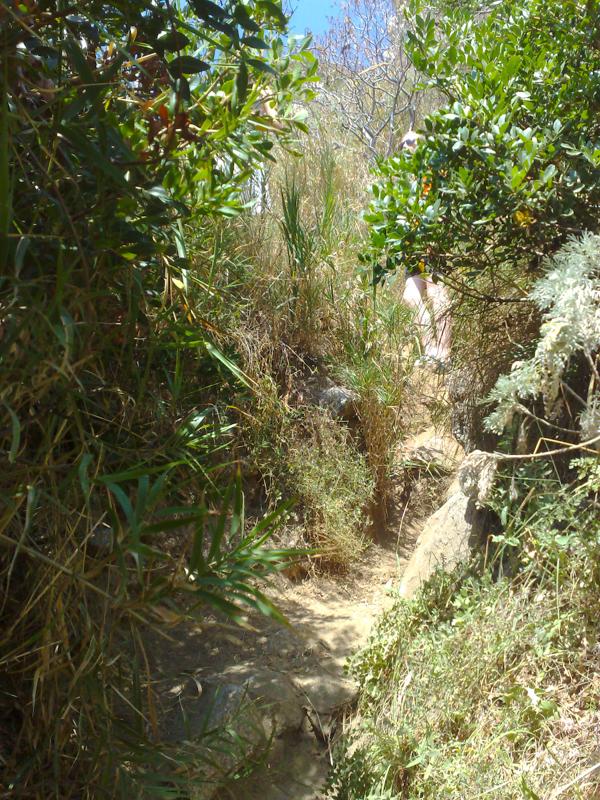  04072008377.jpg </br ><small> 2008-07-04 14:52</br >N95 5.6mm 1/110s f/2.8 ISO 160</small>