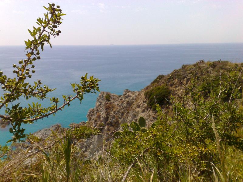  04072008379.jpg </br ><small> 2008-07-04 14:59</br >N95 5.6mm 1/1000s f/2.8 ISO 100</small>