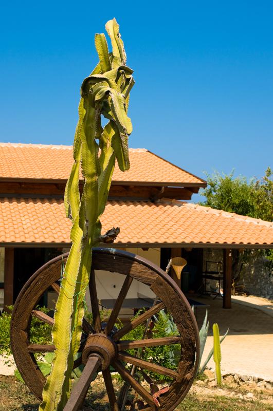  D3C_1690.jpg </br ><small> 2008-06-29 10:56</br >NIKON D300 35mm 1/500s f/5.6 ISO 100</small>