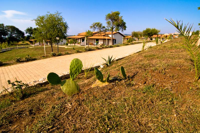  D3C_1708.jpg </br ><small> 2008-06-29 18:03</br >NIKON D300 12mm 1/250s f/11 ISO 200</small>