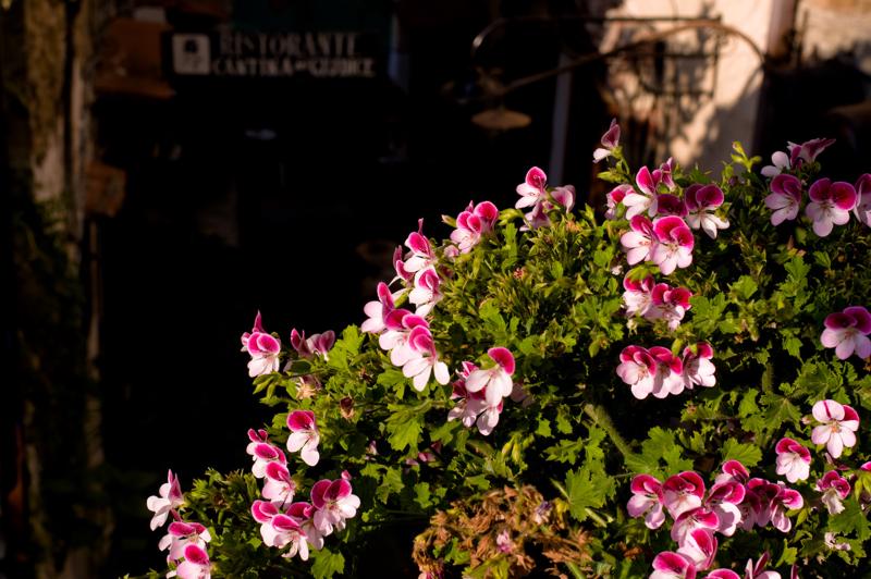  D3C_1749.jpg </br ><small> 2008-06-30 18:11</br >NIKON D300 35mm 1/160s f/8 ISO 100</small>