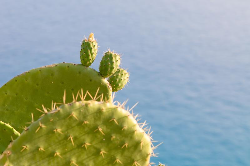  D3C_1862.jpg </br ><small> 2008-07-01 18:28</br >NIKON D300 105mm 1/60s f/9 ISO 100</small>