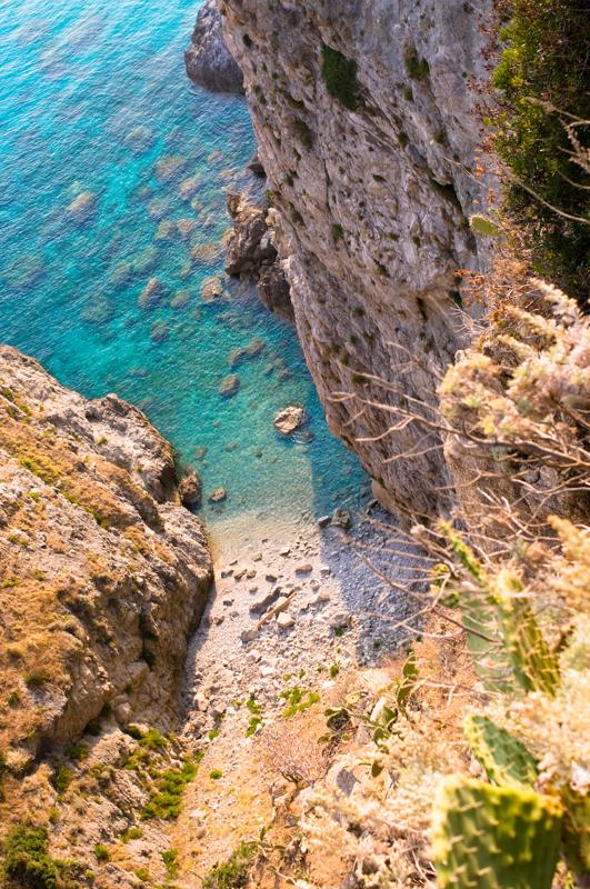  D3C_1873.jpg </br ><small> 2008-07-01 18:35</br >NIKON D300 35mm 1/125s f/8 ISO 200</small>