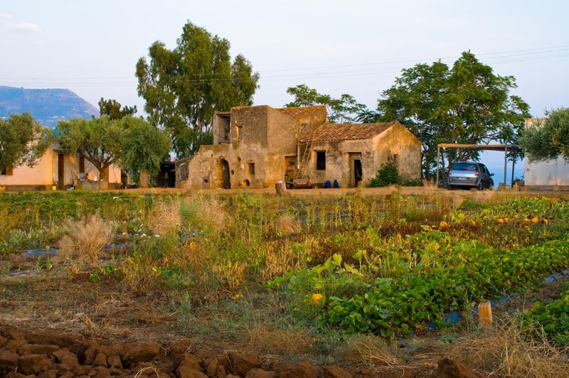  D3C_1882.jpg </br ><small> 2008-07-01 19:41</br >NIKON D300 35mm 1/60s f/8 ISO 200</small>