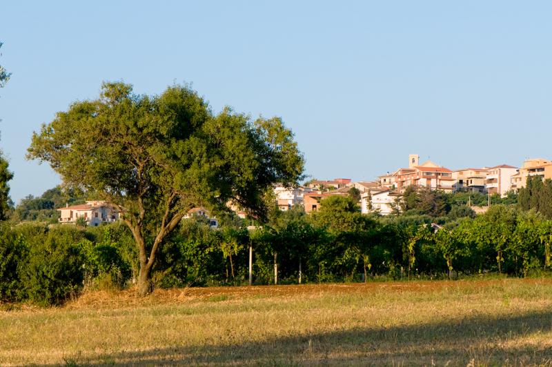  D3C_2105.jpg </br ><small> 2008-07-03 19:39</br >NIKON D300 105mm 1/200s f/8 ISO 200</small>