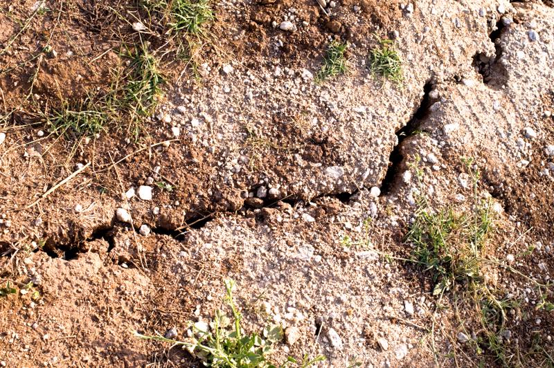  D3C_2285.jpg </br ><small> 2008-07-04 18:15</br >NIKON D300 35mm 1/200s f/8 ISO 200</small>