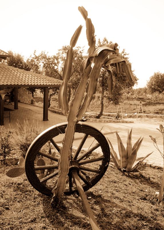  D3C_1706.jpg </br ><small> 2008-06-29 18:01</br >NIKON D300 24mm 1/160s f/8 ISO 200</small>