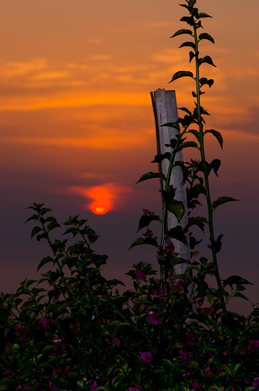  D3C_1795.jpg </br ><small> 2008-06-30 20:18</br >NIKON D300 105mm 1/250s f/8 ISO 200</small>