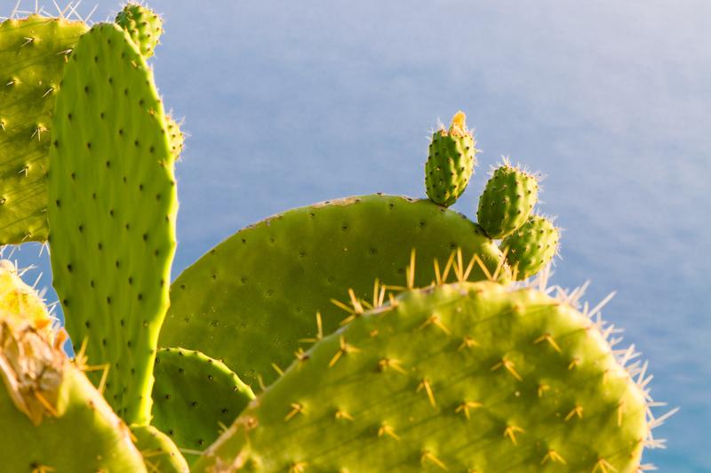  D3C_1864.jpg </br ><small> 2008-07-01 18:28</br >NIKON D300 105mm 1/125s f/8 ISO 200</small>