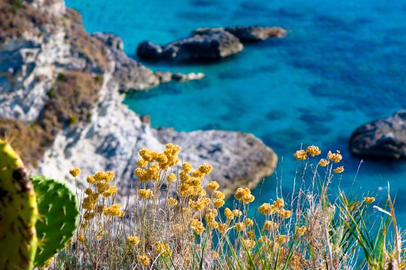  D3C_2065.jpg </br ><small> 2008-07-03 17:39</br >NIKON D300 105mm 1/200s f/10 ISO 200</small>