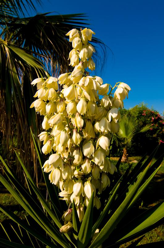  D3C_2090.jpg </br ><small> 2008-07-03 17:51</br >NIKON D300 14mm 1/320s f/8 ISO 100</small>