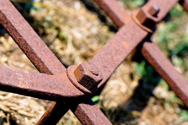  D3C_2154.jpg </br ><small> 2008-07-04 12:08</br >NIKON D300 105mm 1/250s f/8 ISO 200</small>