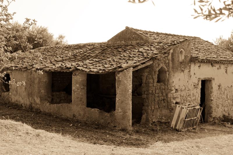  D3C_2252.jpg </br ><small> 2008-07-04 17:48</br >NIKON D300 35mm 1/1250s f/4 ISO 200</small>