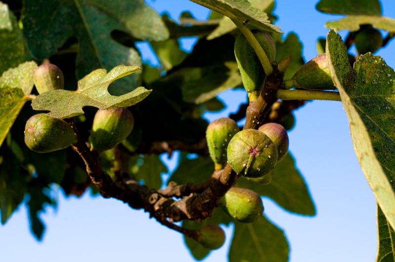  D3C_2256.jpg </br ><small> 2008-07-04 18:00</br >NIKON D300 35mm 1/250s f/8 ISO 200</small>