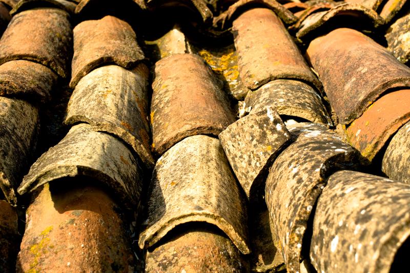  D3C_2279.jpg </br ><small> 2008-07-04 18:12</br >NIKON D300 35mm 1/640s f/5.6 ISO 200</small>