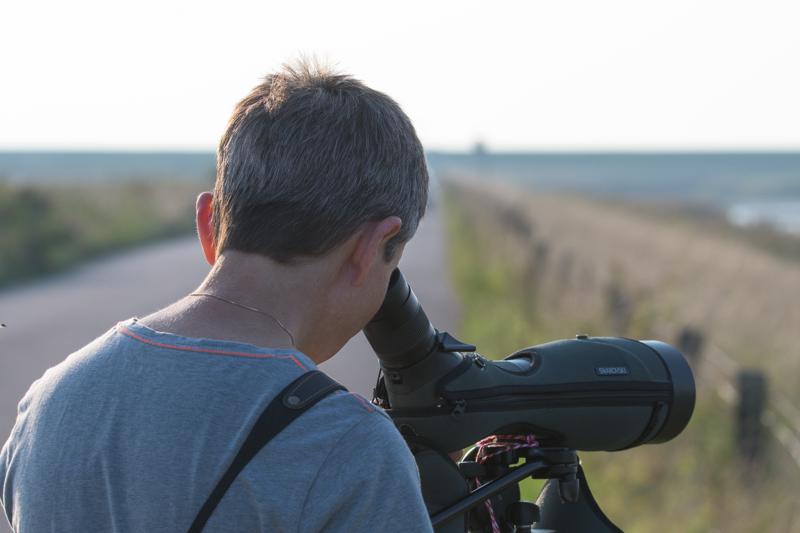  20160908-PB5_0627.JPG </br ><small> 2016-09-08 18:17</br >NIKON D500 + TAMRON SP AF 150-600mm F5-6.3 VC USD A011N<br /> 150mm 1/1000s f/8 ISO 560</small>