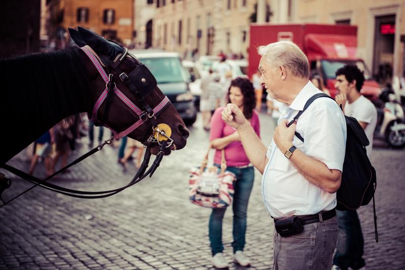  20120928_PB8_1444.JPG </br ><small> 2012-09-28 15:28</br >NIKON D800 + 24.0-70.0 mm f/2.8<br /> 70mm 1/800s f/2.8 ISO 200</small>