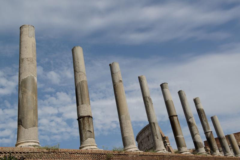  20120929_PB8_1514.JPG </br ><small> 2012-09-29 14:12</br >NIKON D800 + 24.0-70.0 mm f/2.8<br /> 38mm 1/1000s f/8 ISO 200</small>