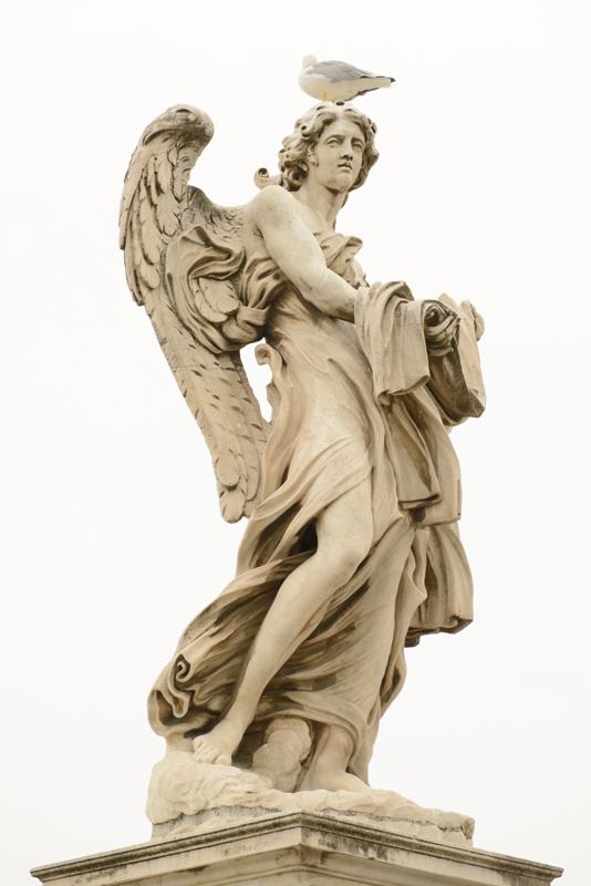  20120930_PB8_1688.JPG </br ><small> 2012-09-30 14:09</br >NIKON D800 + 24.0-70.0 mm f/2.8<br /> 70mm 1/160s f/5.6 ISO 400</small>