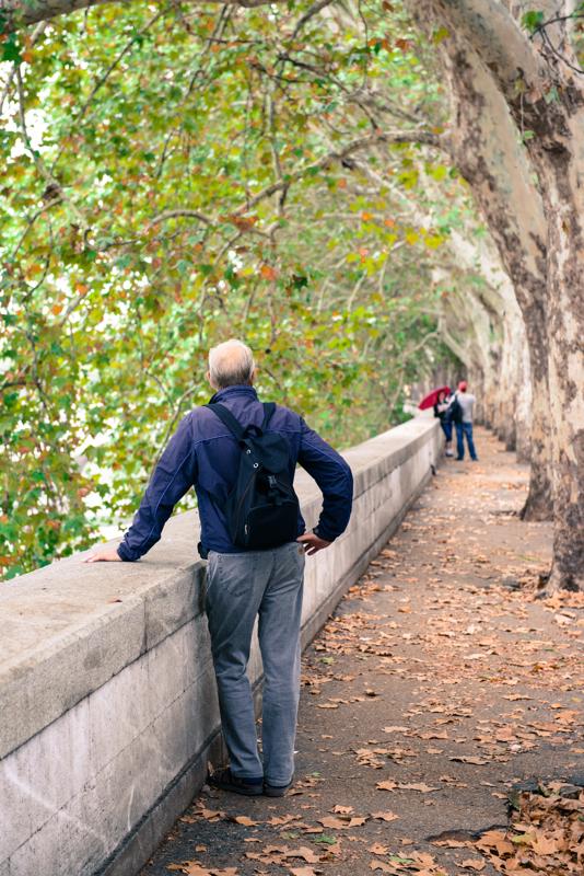  20120930_PB8_1693.JPG </br ><small> 2012-09-30 14:17</br >NIKON D800 + 24.0-70.0 mm f/2.8<br /> 70mm 1/80s f/4 ISO 1250</small>