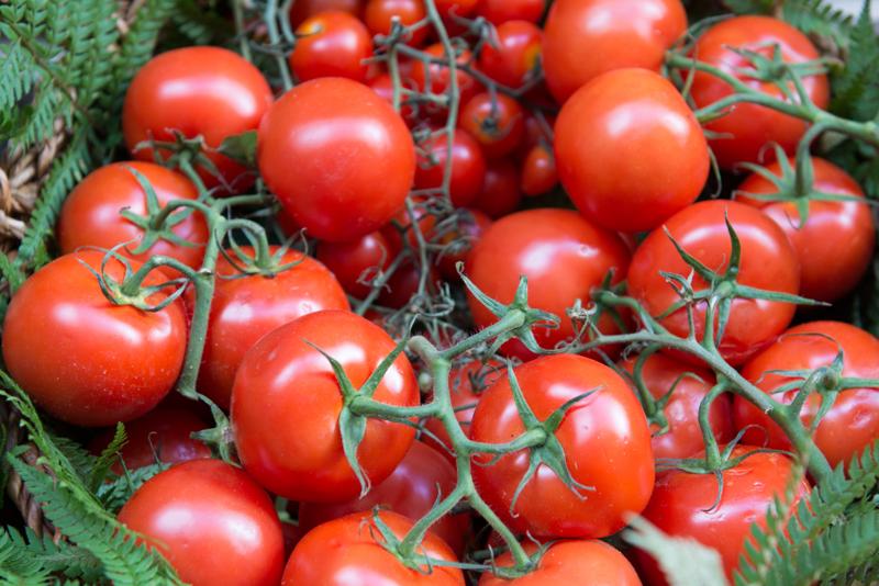  20121001_PB8_1875.JPG </br ><small> 2012-10-01 16:30</br >NIKON D800 + 24.0-70.0 mm f/2.8<br /> 56mm 1/80s f/4 ISO 400</small>