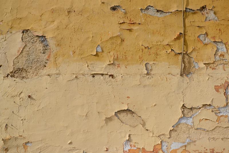  20120928_PB8_1447.JPG </br ><small> 2012-09-28 15:30</br >NIKON D800 + 24.0-70.0 mm f/2.8<br /> 70mm 1/800s f/5.6 ISO 200</small>