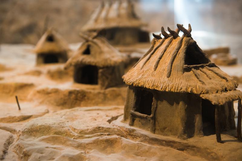  20120929_PB8_1494.JPG </br ><small> 2012-09-29 13:18</br >NIKON D800 + 24.0-70.0 mm f/2.8<br /> 58mm 1/100s f/4 ISO 3200</small>