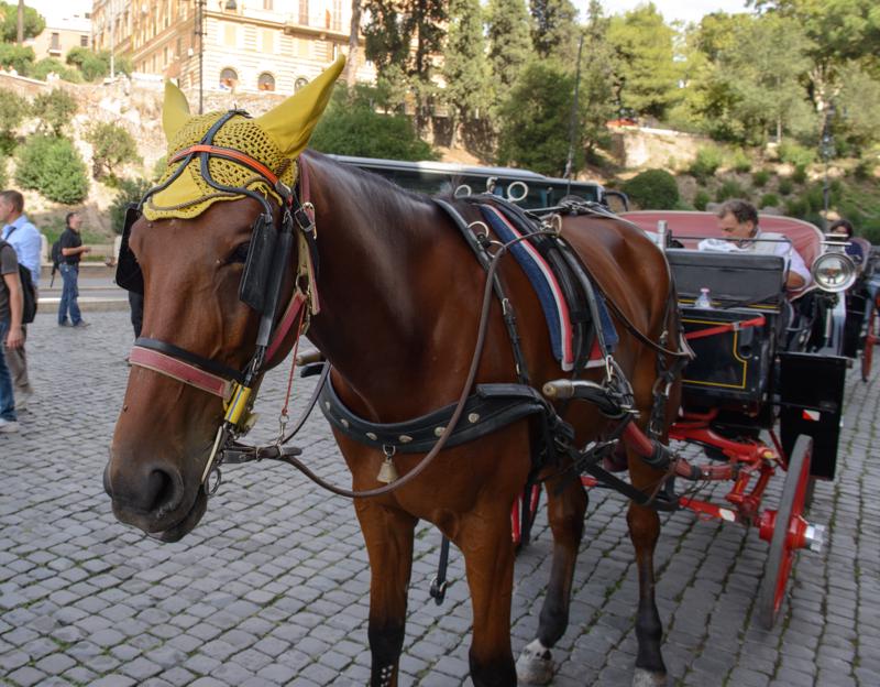  20120929_PB8_1517.JPG </br ><small> 2012-09-29 14:17</br >NIKON D800 + 24.0-70.0 mm f/2.8<br /> 24mm 1/80s f/8 ISO 200</small>