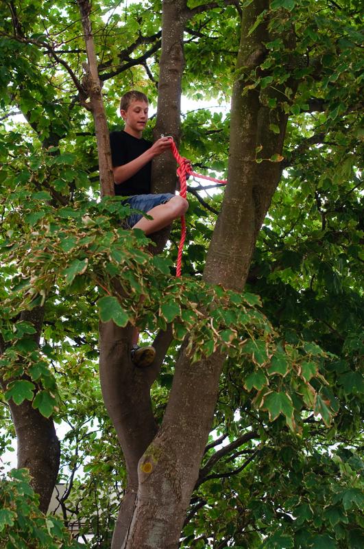  D3C_3459.jpg </br ><small> 2008-08-05 18:01</br >NIKON D300 35mm 1/80s f/4 ISO 200</small>