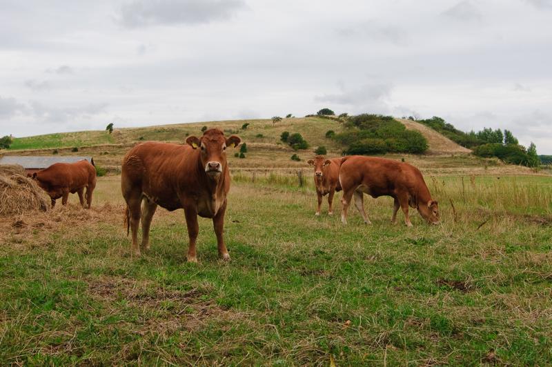 D3C_3472.jpg </br ><small> 2008-08-06 11:48</br >NIKON D300 24mm 1/200s f/8 ISO 200</small>