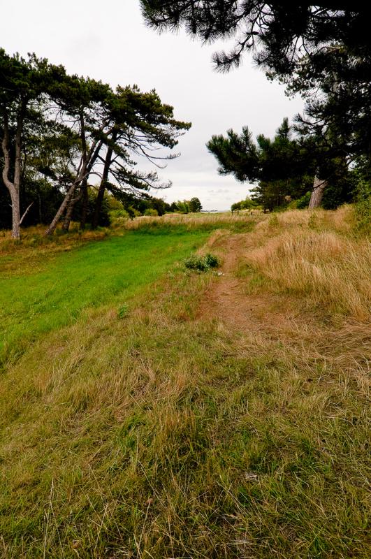  D3C_3477.jpg </br ><small> 2008-08-06 12:05</br >NIKON D300 12mm 1/200s f/8 ISO 200</small>