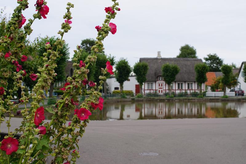  D3C_3494.jpg </br ><small> 2008-08-06 14:49</br >NIKON D300 35mm 1/160s f/5.6 ISO 200</small>