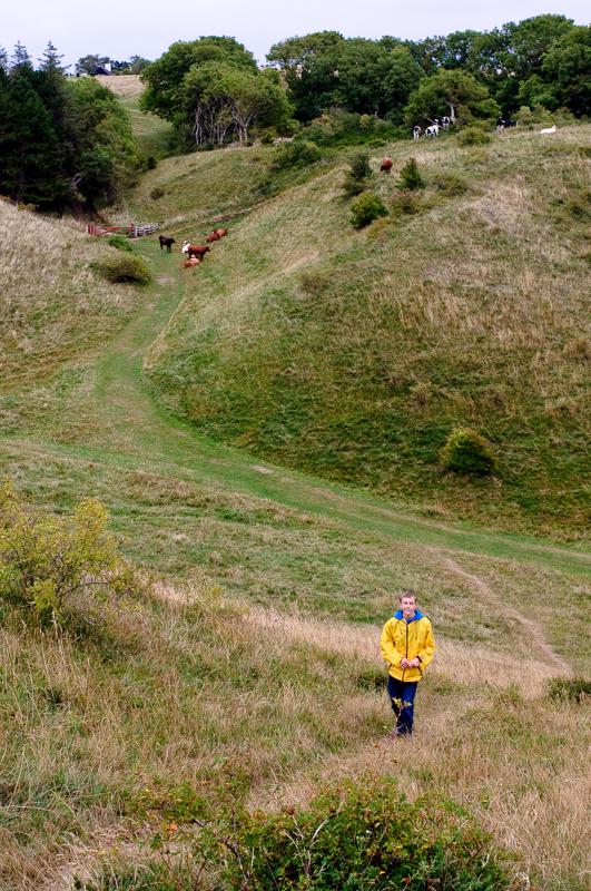  D3C_3509.jpg </br ><small> 2008-08-06 15:46</br >NIKON D300 35mm 1/60s f/8 ISO 200</small>