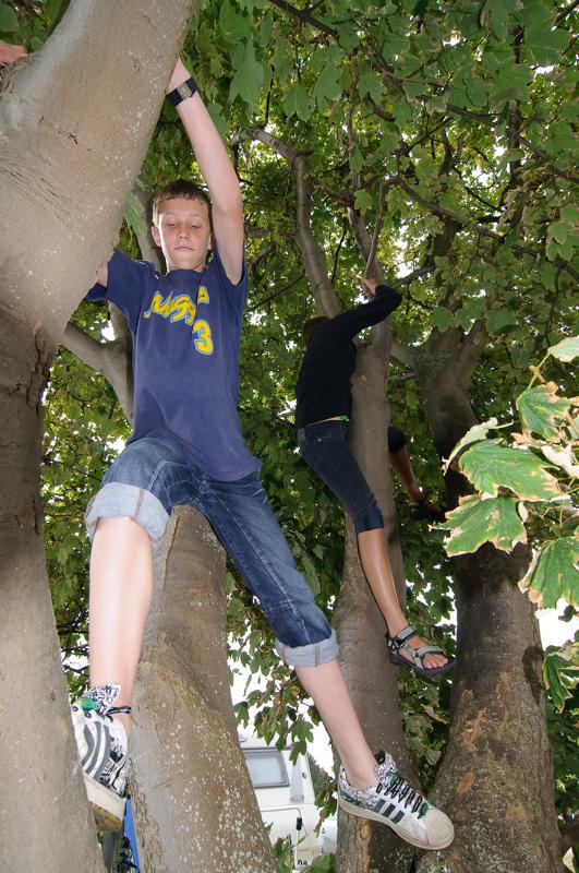  D3C_3539.jpg </br ><small> 2008-08-07 12:07</br >NIKON D300 12mm 1/100s f/8 ISO 200</small>