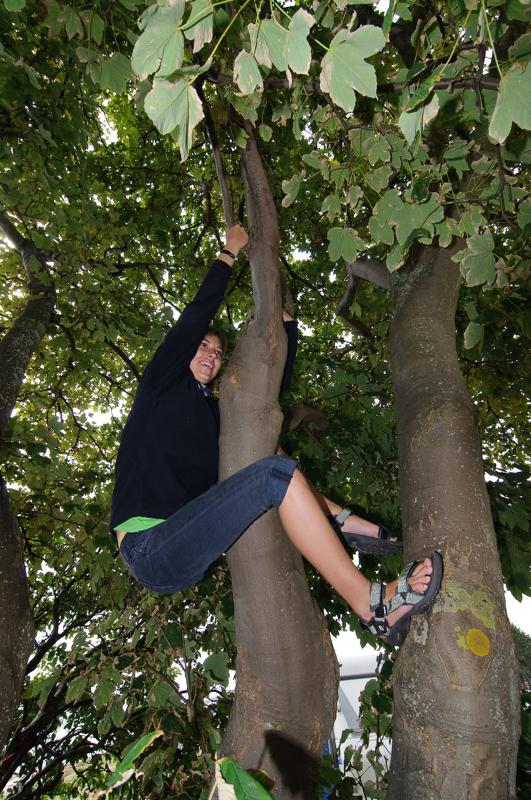  D3C_3540.jpg </br ><small> 2008-08-07 12:07</br >NIKON D300 12mm 1/125s f/8 ISO 200</small>