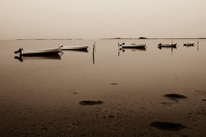  D3C_3567.jpg </br ><small> 2008-08-07 13:59</br >NIKON D300 35mm 1/500s f/8 ISO 200</small>