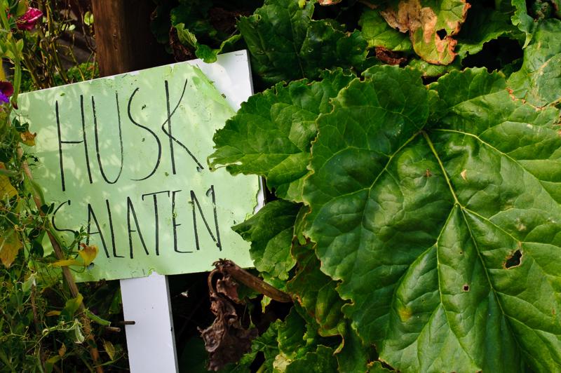  D3C_3596.jpg </br ><small> 2008-08-07 15:29</br >NIKON D300 35mm 1/250s f/8 ISO 200</small>