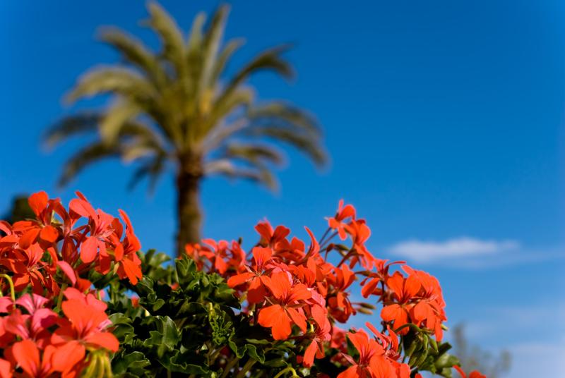  D2C_7685.jpg </br ><small> 2008-05-04 17:29</br >NIKON D200 35mm 1/500s f/5.6 ISO 100</small>